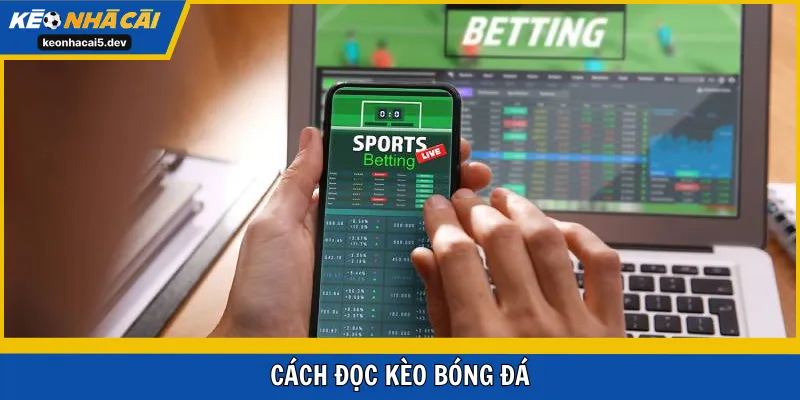 cách đọc kèo bóng đá