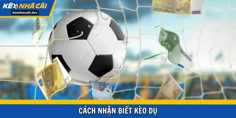 cách nhận biết kèo dụ