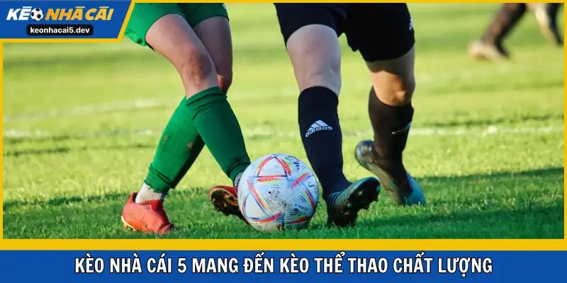 Kèo Nhà Cái 5 - thăng hoa kèo thể thao