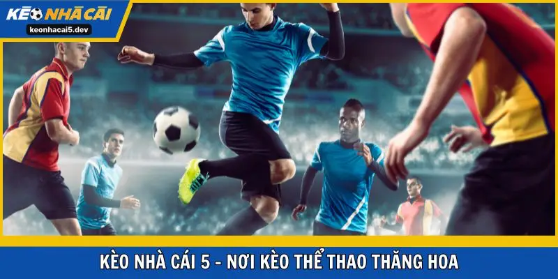 Kèo Nhà Cái 5 - website thể thao số 1 Châu Á