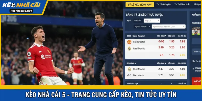 Kèo Nhà Cái 5 - Trang cung cấp kèo, tin tức uy tín