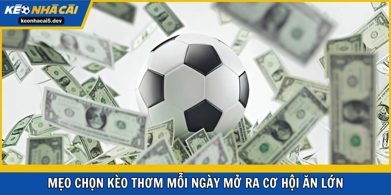 Mẹo chọn kèo thơm mỗi ngày mở ra cơ hội ăn lớn