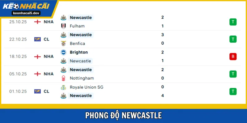 Newcastle thể hiện không như kỳ vọng