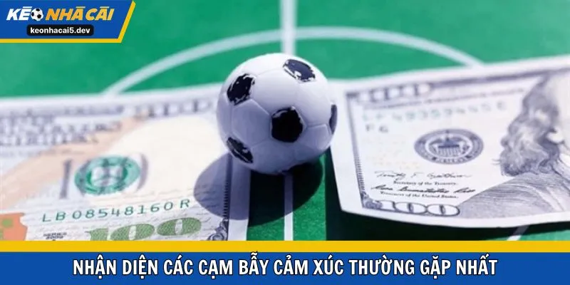 Nhận diện các cạm bẫy cảm xúc thường gặp nhất