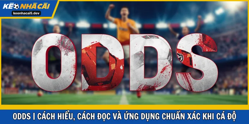 Odds | Cách Hiểu, Cách Đọc Và Ứng Dụng Chuẩn Xác Khi Cá Độ