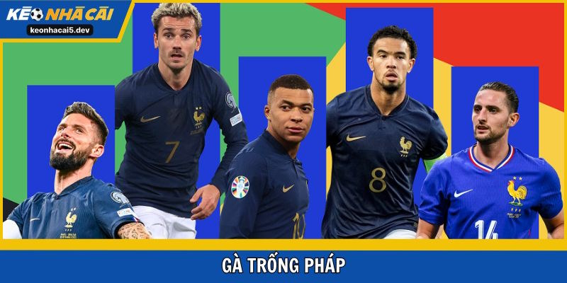 Gà trống Pháp nằm trong top 5 đội bóng mạnh nhất Châu Âu