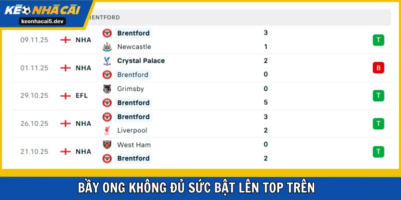 Bầy Ong không đủ sức bật lên top trên