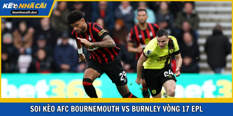 AFC Bournemouth vs Burnley vòng 17 khả năng cao rất thú vị