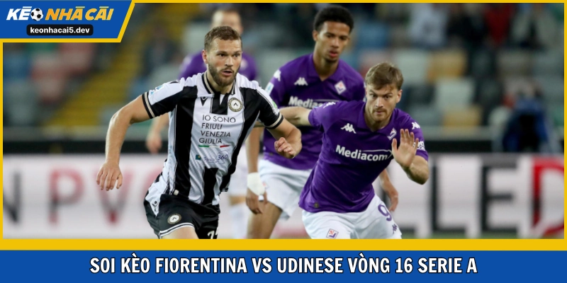 Fiorentina vs Udinese trận đấu với kèo rất thơm