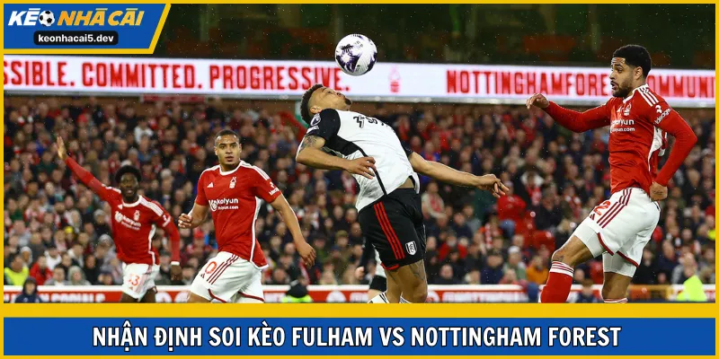 Soi kèo Fulham vs Nottingham Forest vòng 17 EPL