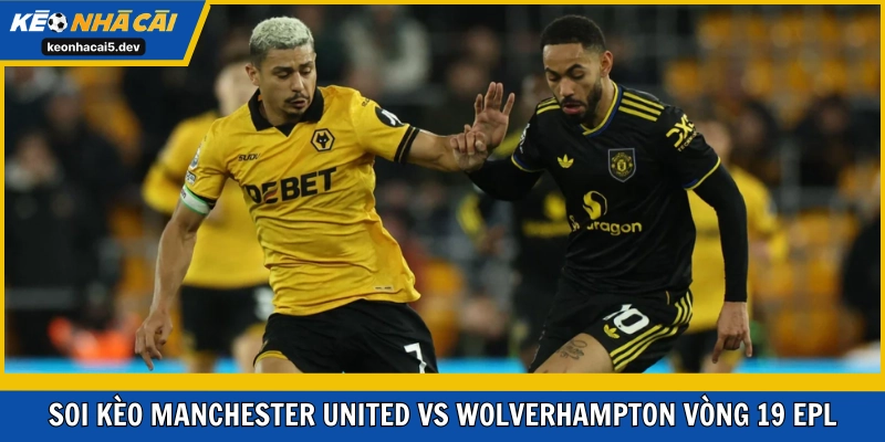 Manchester United vs Wolverhampton Wanderers trận đấu dễ cho Quỷ Đỏ