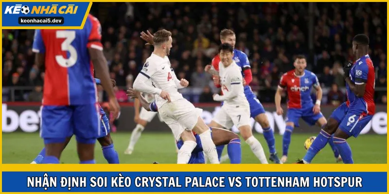 Soi kèo Crystal Palace vs Tottenham Hotspur vòng 18 EPL