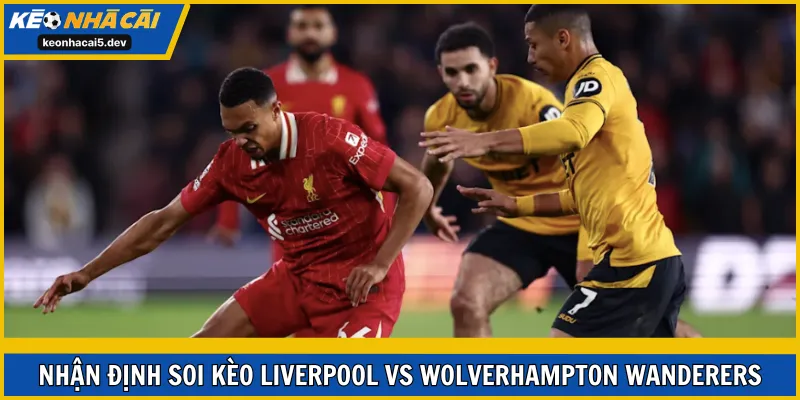 Soi kèo Liverpool vs Wolverhampton Wanderers vòng 18 EPL