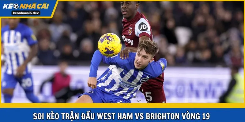 Soi kèo trận cầu West Ham United vs Brighton & Hove Albion vòng 19