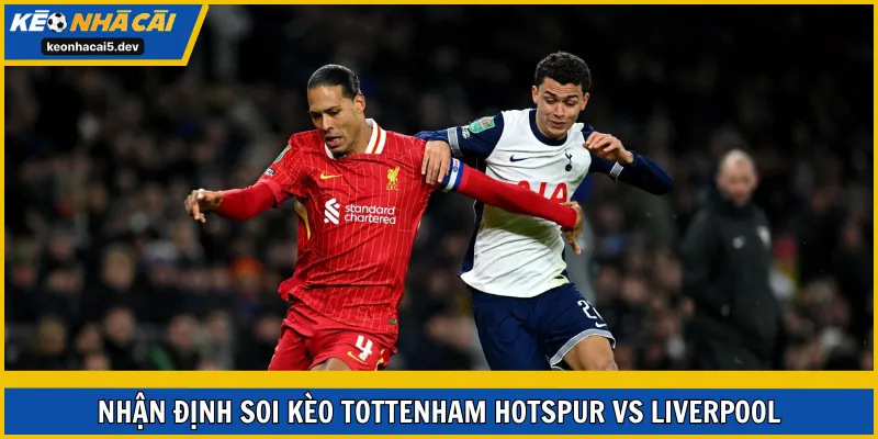 Soi kèo Tottenham Hotspur vs Liverpool thuộc vòng 17 Ngoại Hạng Anh